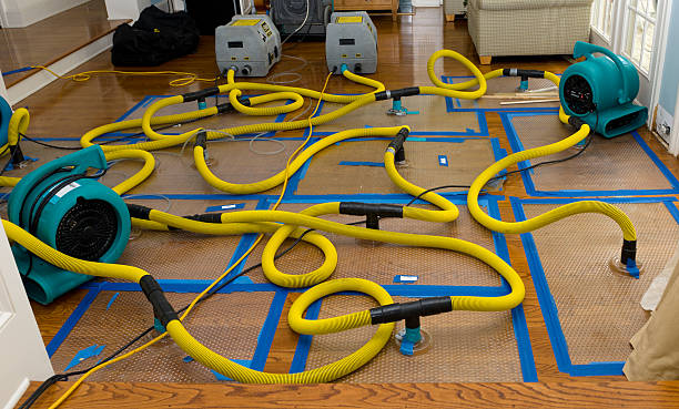 Professional Basement Flood Cleanup technician working in Arrington, TN